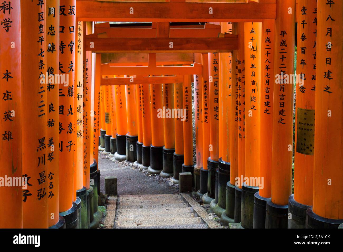 Fushimi Inari-taisha, Kioto, Japan Stockfoto