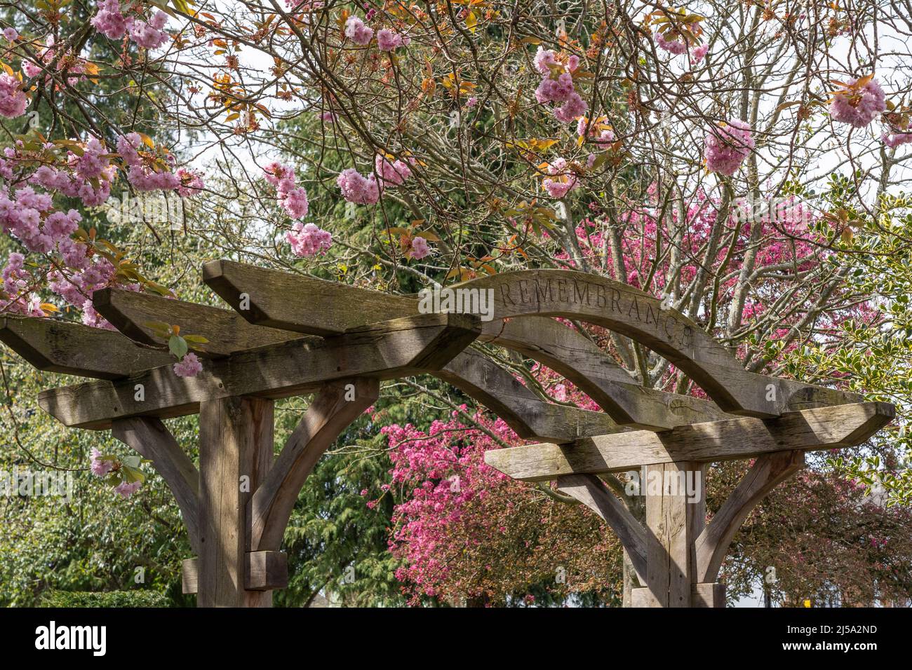 Church Square WWII Remembrance Garden im Frühling mit rosa Blüten - Erinnerung ist in den hölzernen gewölbten Eingang geschnitzt. Basingstoke, England Stockfoto