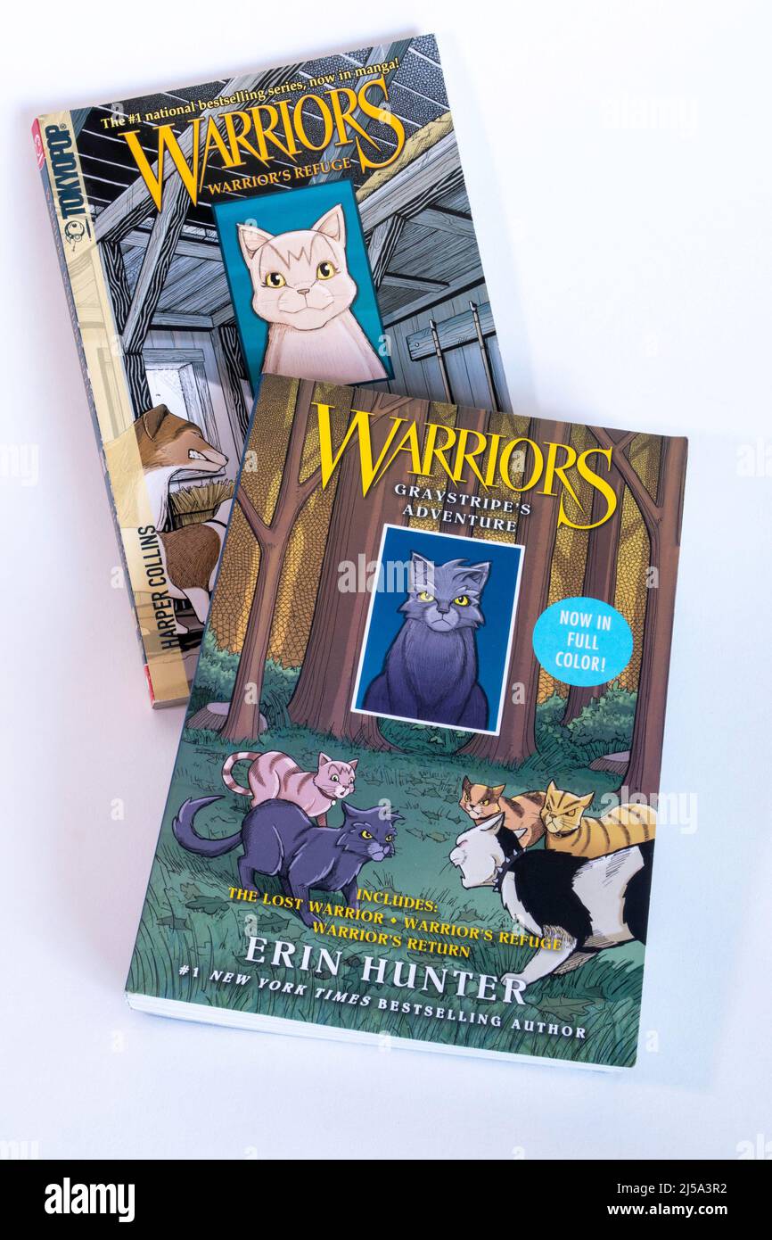 Warriors are Manga Adventure Graphic Novels with the Feline Character, Graystripe, USA, 2022 Stockfoto