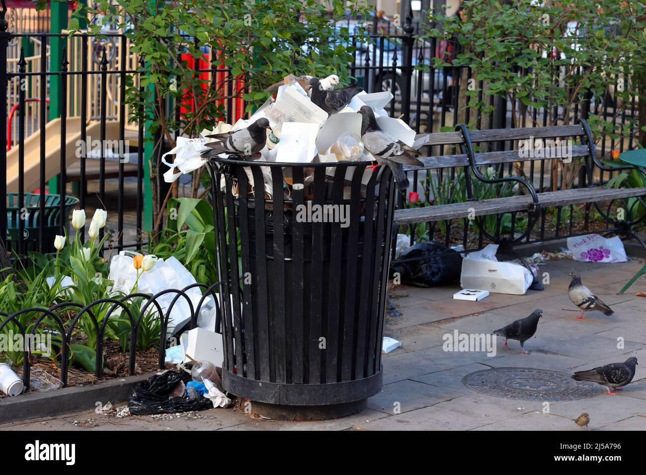 Tauben schwärmen auf dem Bleecker Playground in Manhattans West Village, New York, einen überfüllten Abfalleimer, der mit ausrangierten Behältern für Backwaren gefüllt ist. Stockfoto