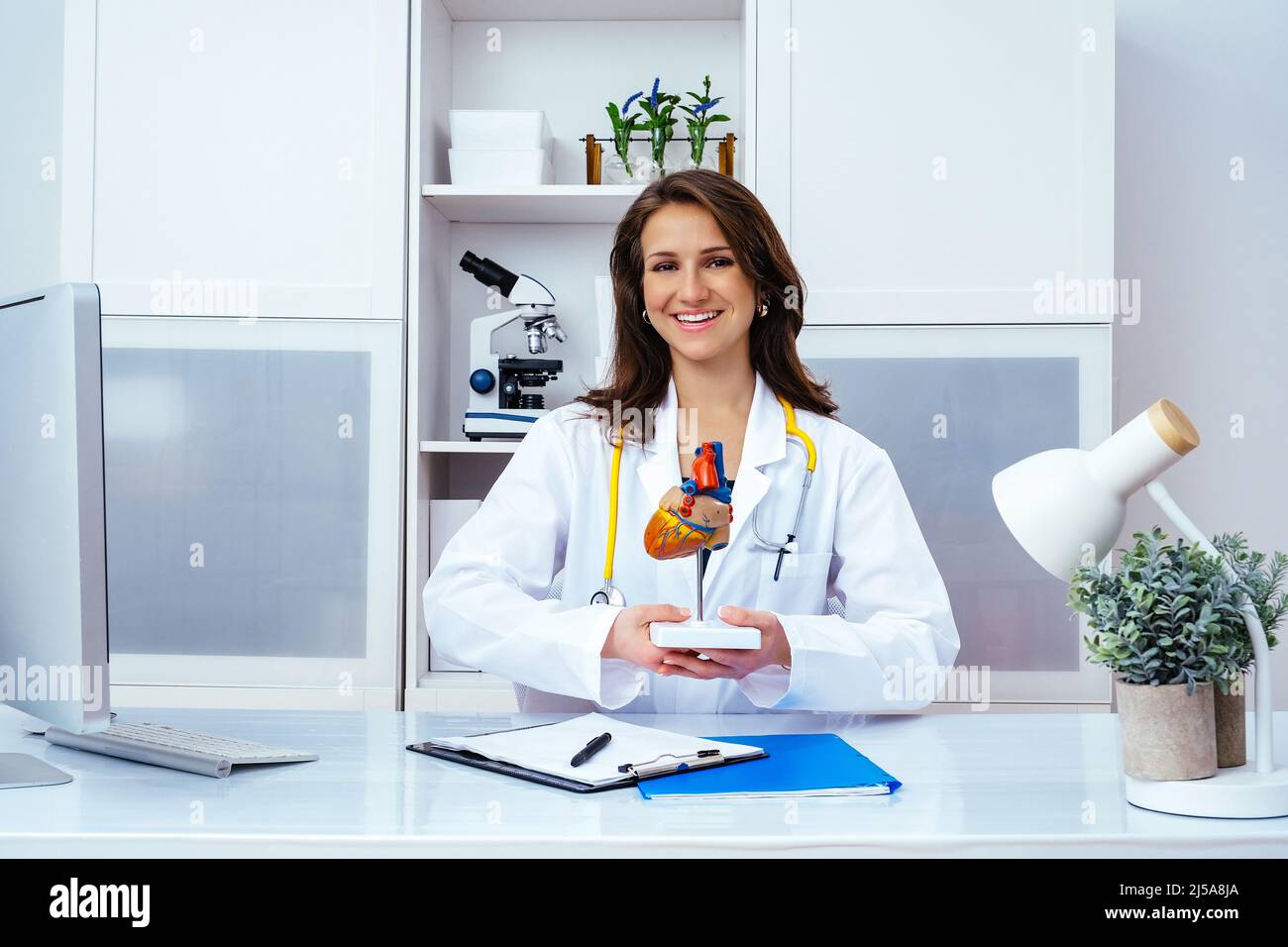 Schöne lächelnde Ärztin, die in der Bürobranche ein Modell des menschlichen Herzens zeigt Stockfoto