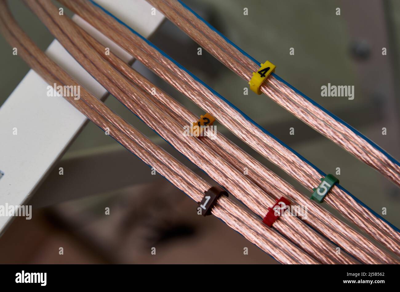 Nahaufnahme des akustischen Kabelsatzes mit Nummernschildern. Stockfoto