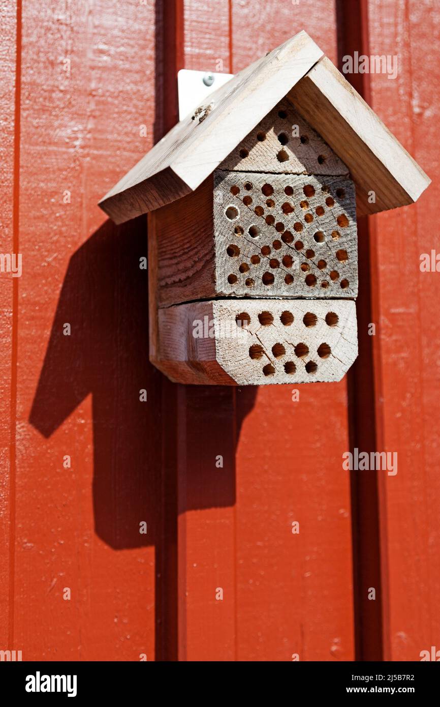 Ein Insektenhotel, das an einer roten Holzwand hängt Stockfoto