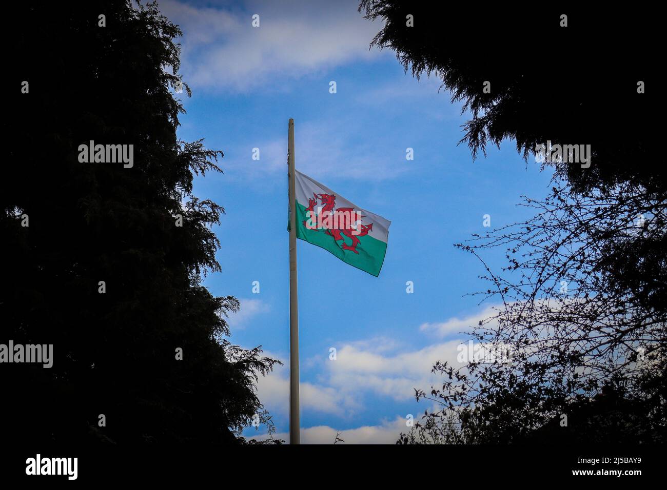 Walisische Flagge, Wales, Cymru, Red Dragon Stockfoto