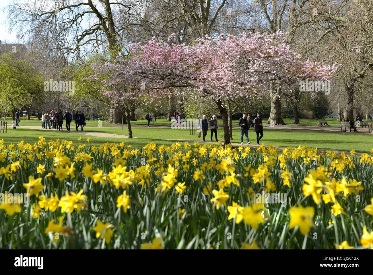 London, England, Großbritannien. Frühlingsblumen und Blüten im St James's Park, 17.. März 2022 Stockfoto
