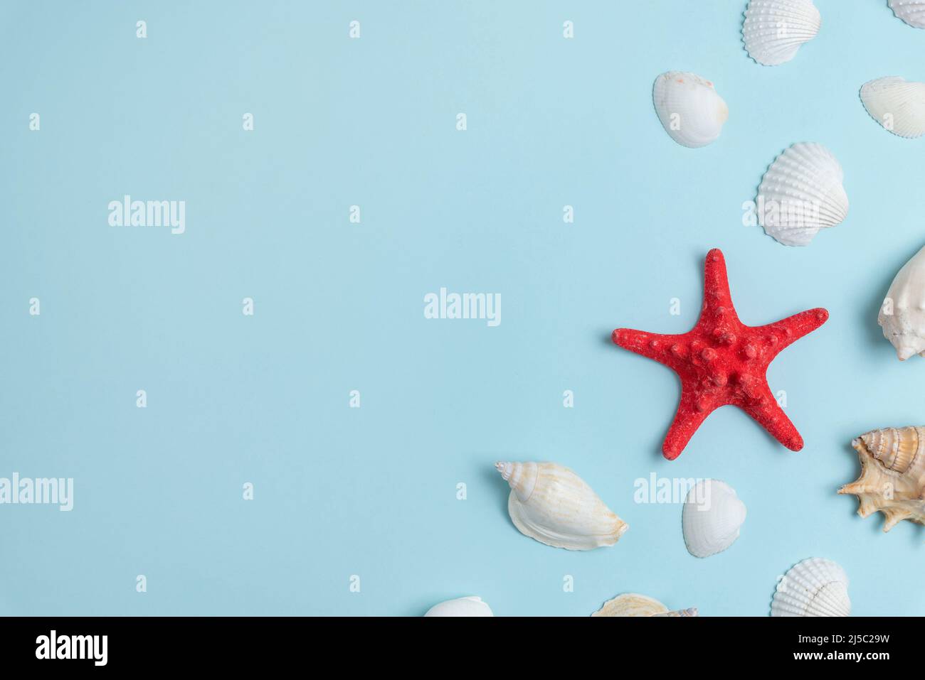 Seesterne und Muscheln auf blauer Oberfläche. Draufsicht, flach lagen Sommer Hintergrund Stockfoto