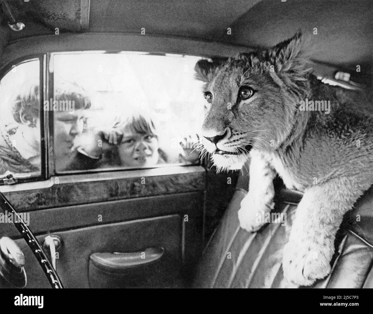 Christian ist dabei, in Chelsea London eine Fahrt zu machen.1970 Stockfoto