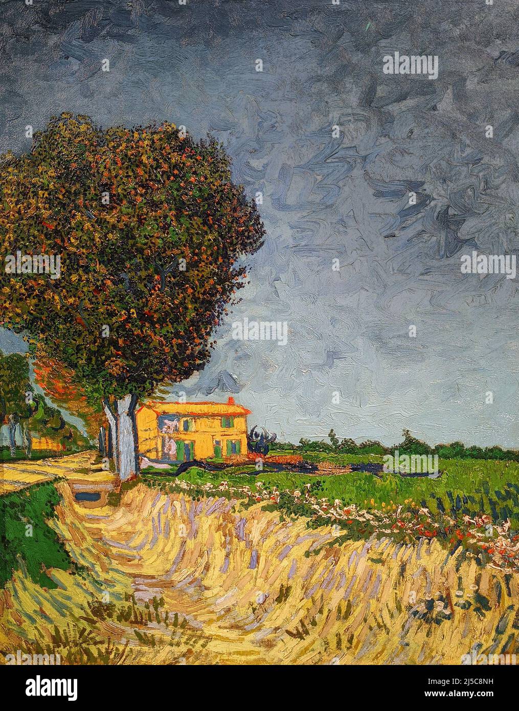 Die Avenue in Arles von Vincent Van Gogh 1888. Pommerschen Landesmuseum in Greifswald, Deutschland Stockfoto