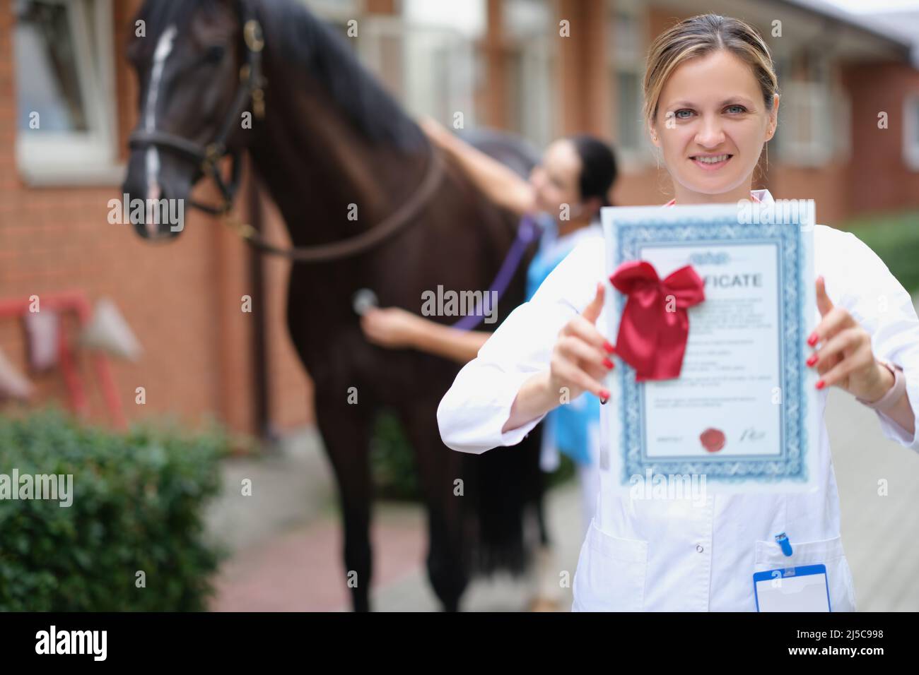 Frau Tierarzt hält medizinische Bescheinigung im Hintergrund Pferd Stockfoto