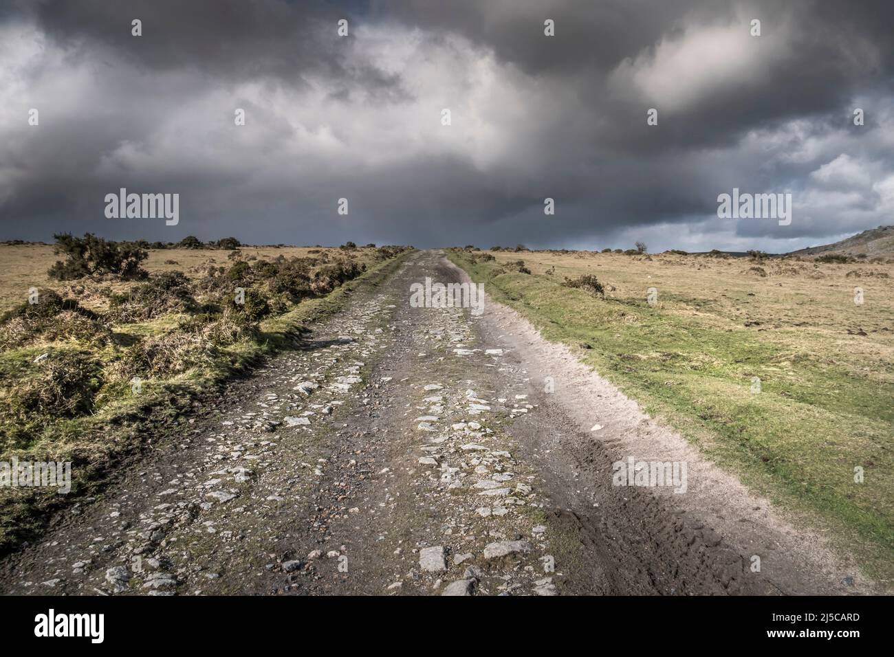 Die Überreste einer stillgeblachten Eisenbahnstrecke, die jetzt als Wanderweg über Craddock Moor auf Bodmin Moor in Cornwall, Großbritannien, genutzt wird. Stockfoto