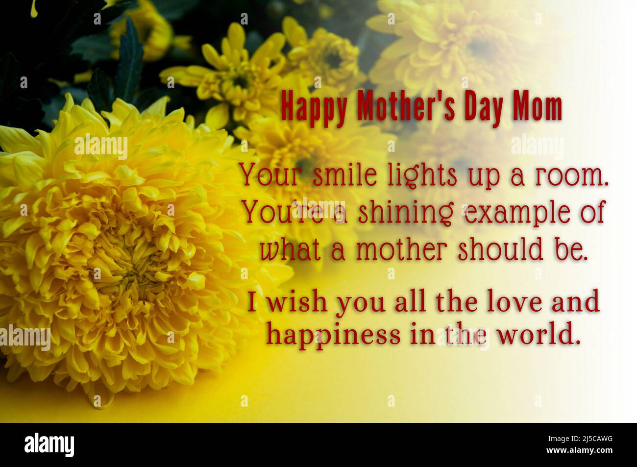 Happy Mother's Day Textwünsche mit gelben Blumen Hintergrund. Stockfoto