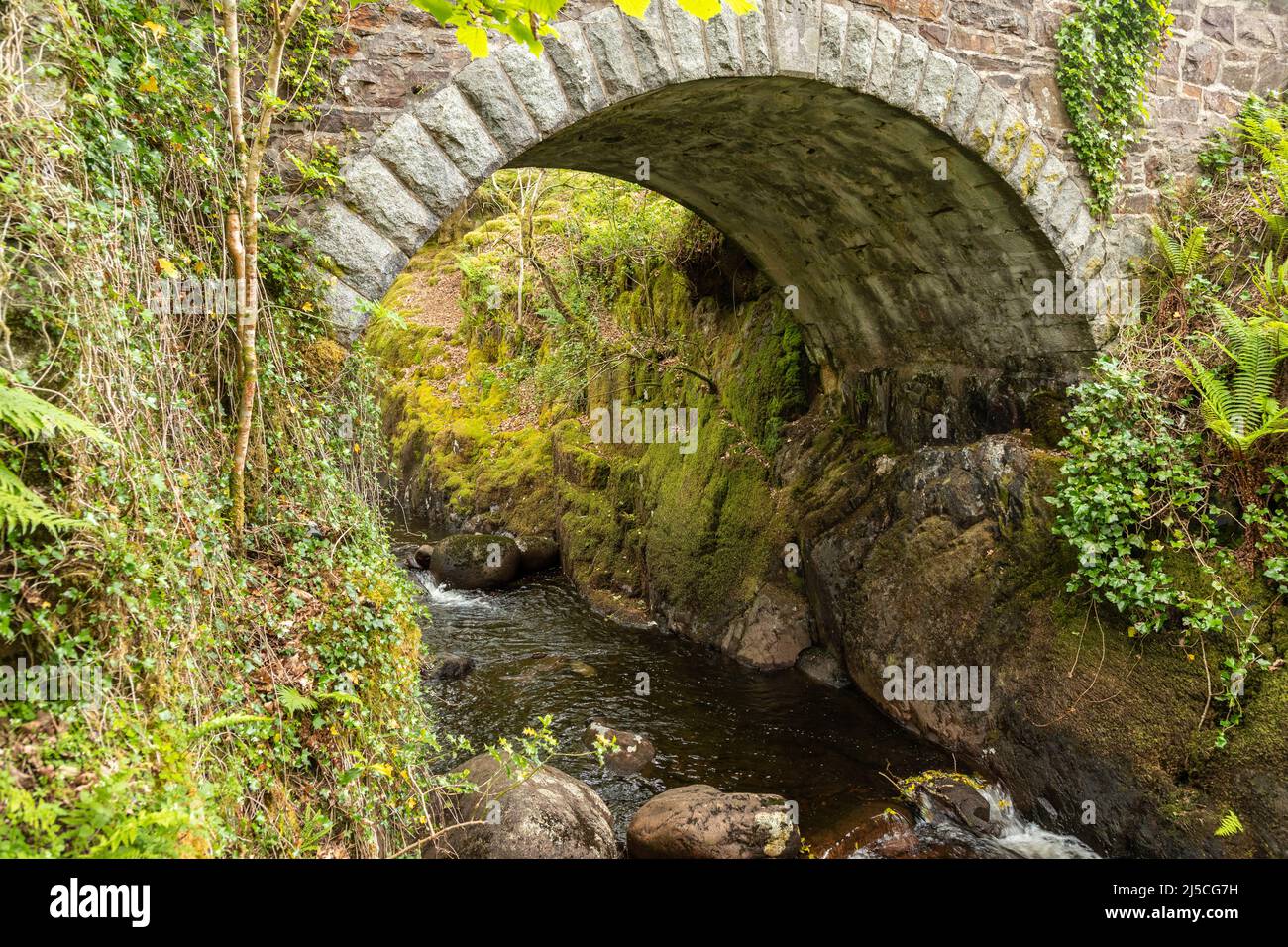 Alte Steinbogenbrücke am Loch Trool, Schottland Stockfoto