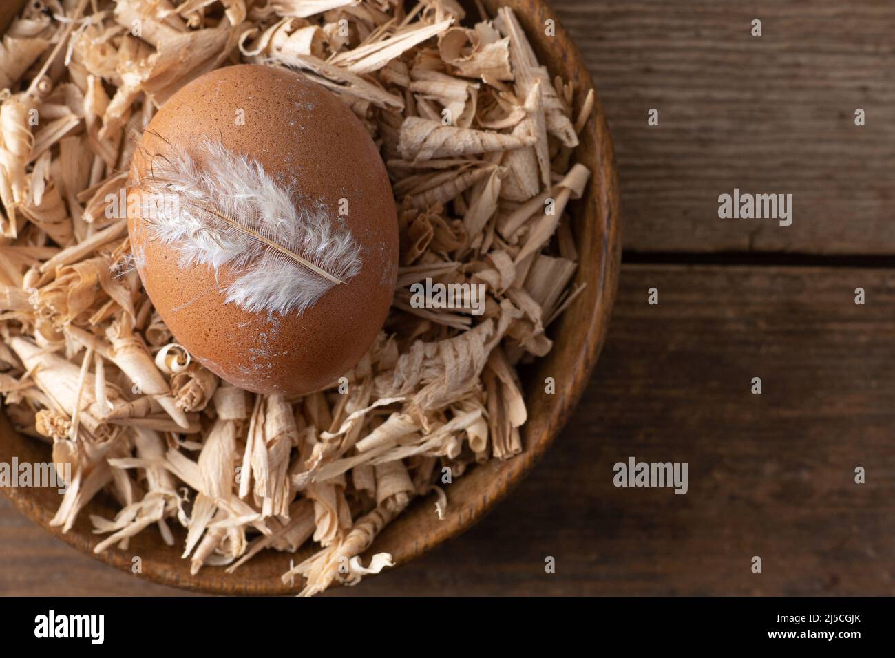 Eierhintergrund. Eier in einem Tablett anbraten. Eiweißfutter. Öko-Bio. Minimalismus-Konzept. Hühnereier in der Schachtel. Nest, Holzhintergrund. Hühnerfeder. Stockfoto