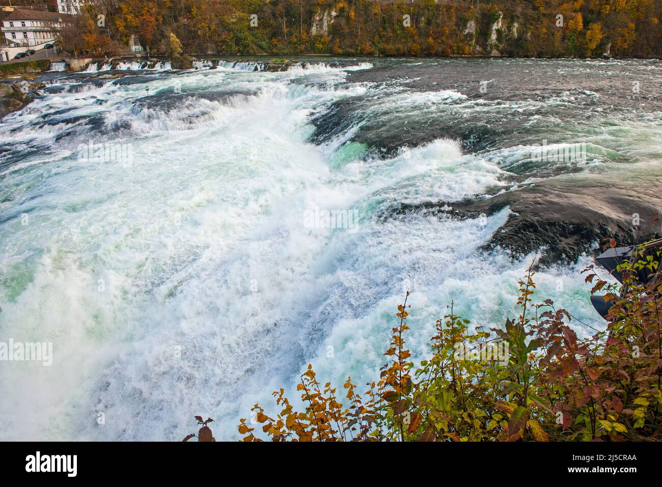 Rheinfall bei Neuhausen, Kanton Schaffhausen, Schweiz Stockfoto