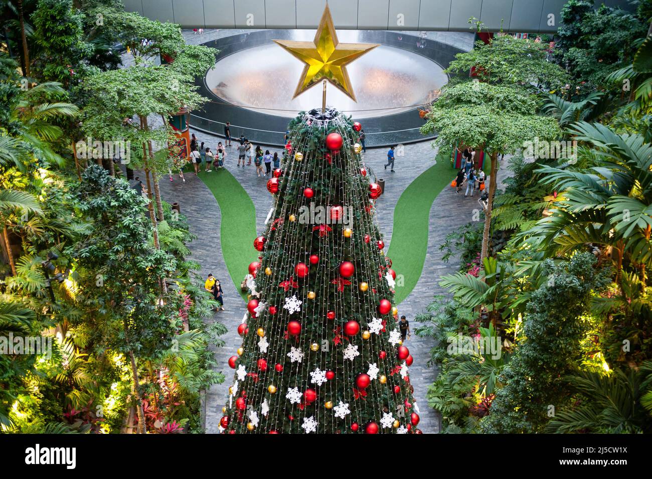 08. Dezember 2020, Singapur, Republik Singapur, Asien - Ein geschmückter Weihnachtsbaum steht inmitten der globalen Coronavirus-Pandemie (Covid-19) im Shiseido Forest Valley des neuen Jewel Terminals am Changi International Airport. [Automatisierte Übersetzung] Stockfoto