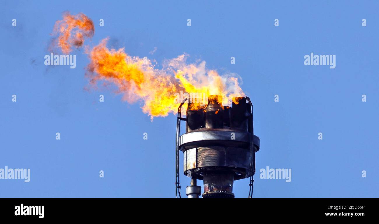 'Schwedt, 7. März 2022 - überschüssiges Gas aus der Rohölverarbeitung bei der PCK-Raffinerie GmbH in Schwedt wird verbrannt. Die PCK-Raffinerie wird mit Rohöl aus Russland über die Pipeline „'Friendship'“ versorgt. Aufgrund des Krieges in der Ukraine wird ein Importverbot für russisches Rohöl und Gas in Erwägung gezogen. [Automatisierte Übersetzung]' Stockfoto
