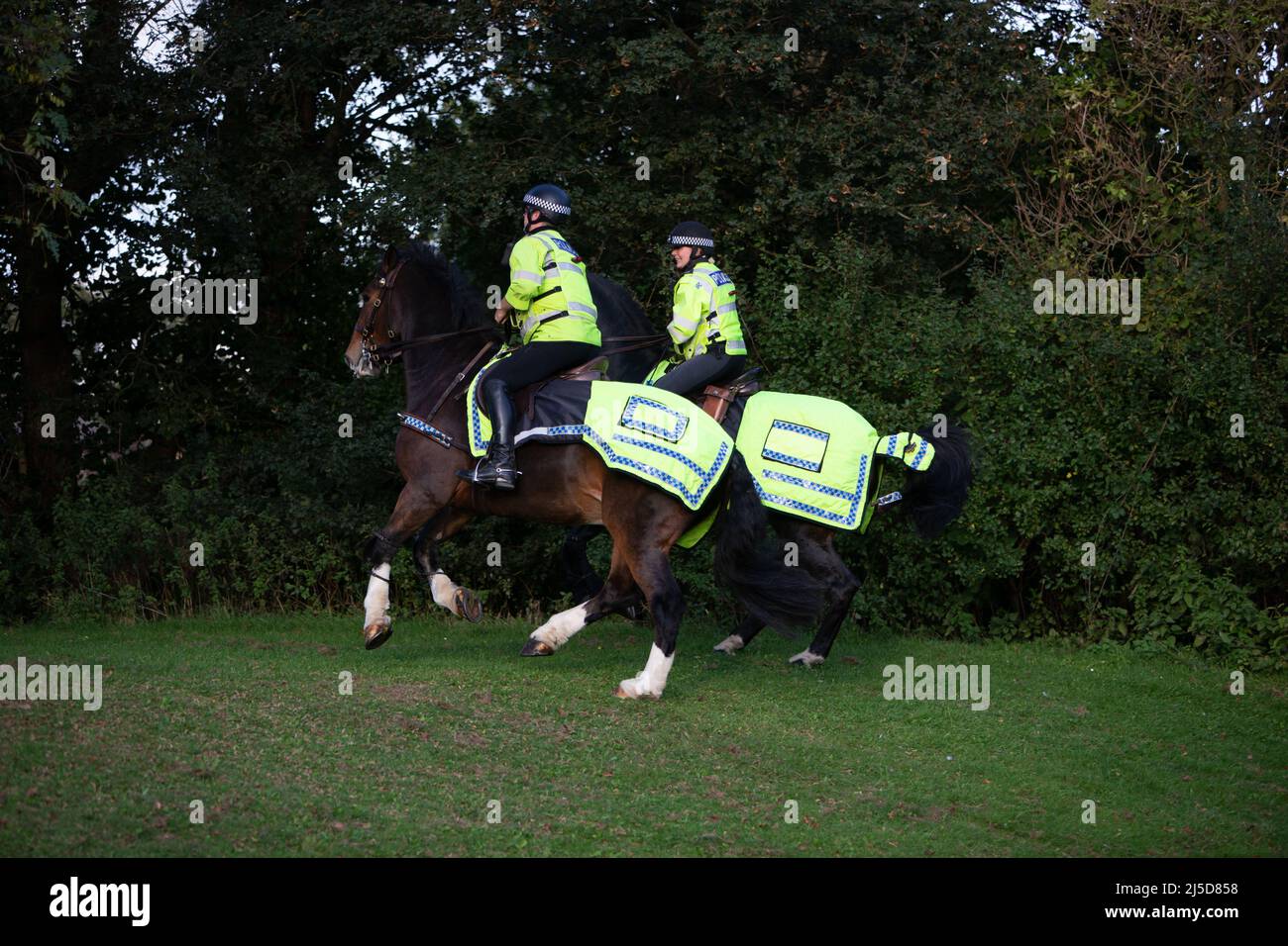 Polizeiarbeit nach dem Fußballspiel Stockfoto