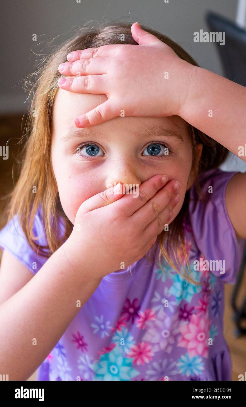 Hübsches junges fünfjähriges Mädchen mit blauen Augen und Händen über dem Gesicht Stockfoto