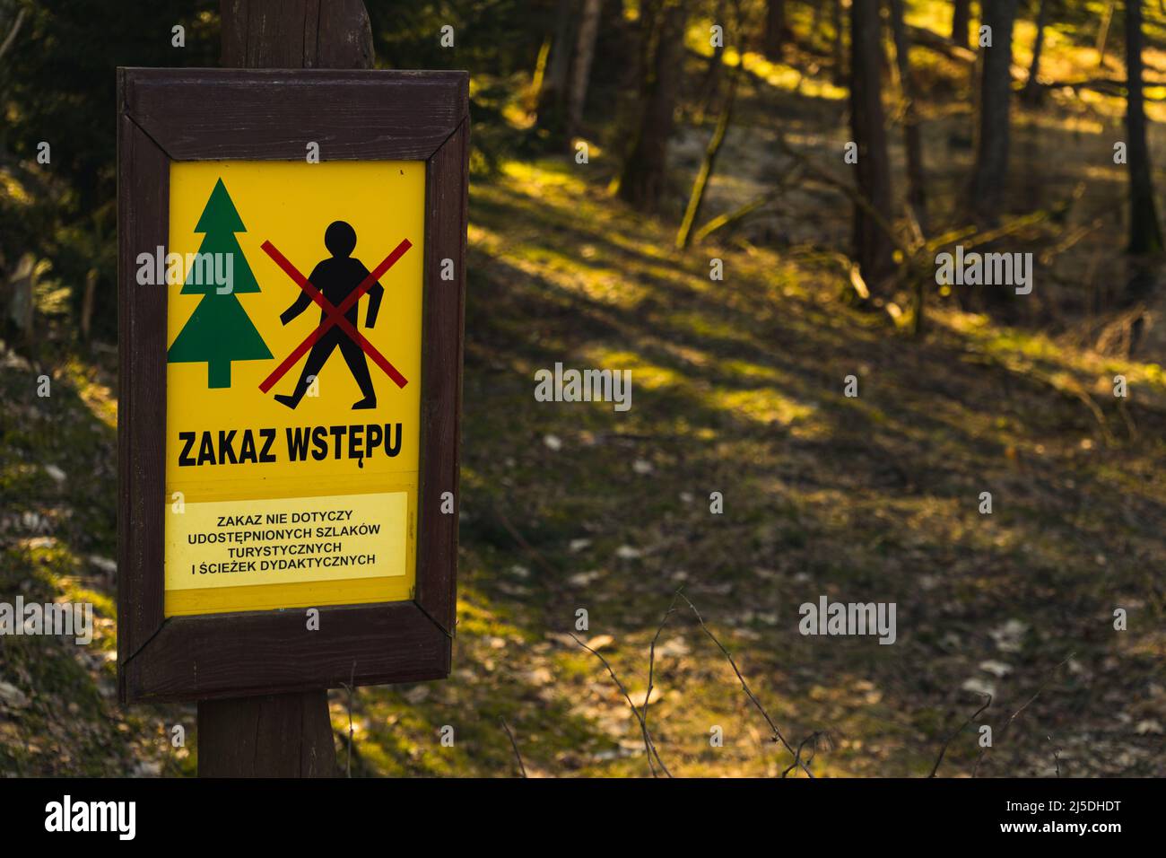 Wodden-Schild mit schriftlichem Eingang in den Wald verboten, in der Mitte des Waldes stehend. Schild in dunkelbrauner Farbe und hellgelb Stockfoto