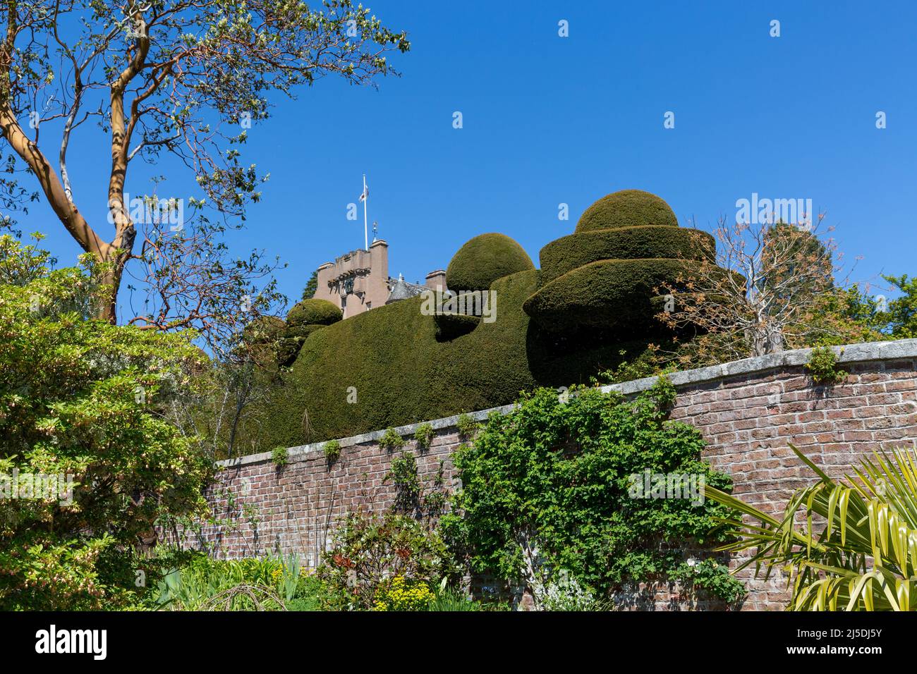 Crathes Castle, Schottland Großbritannien Stockfoto