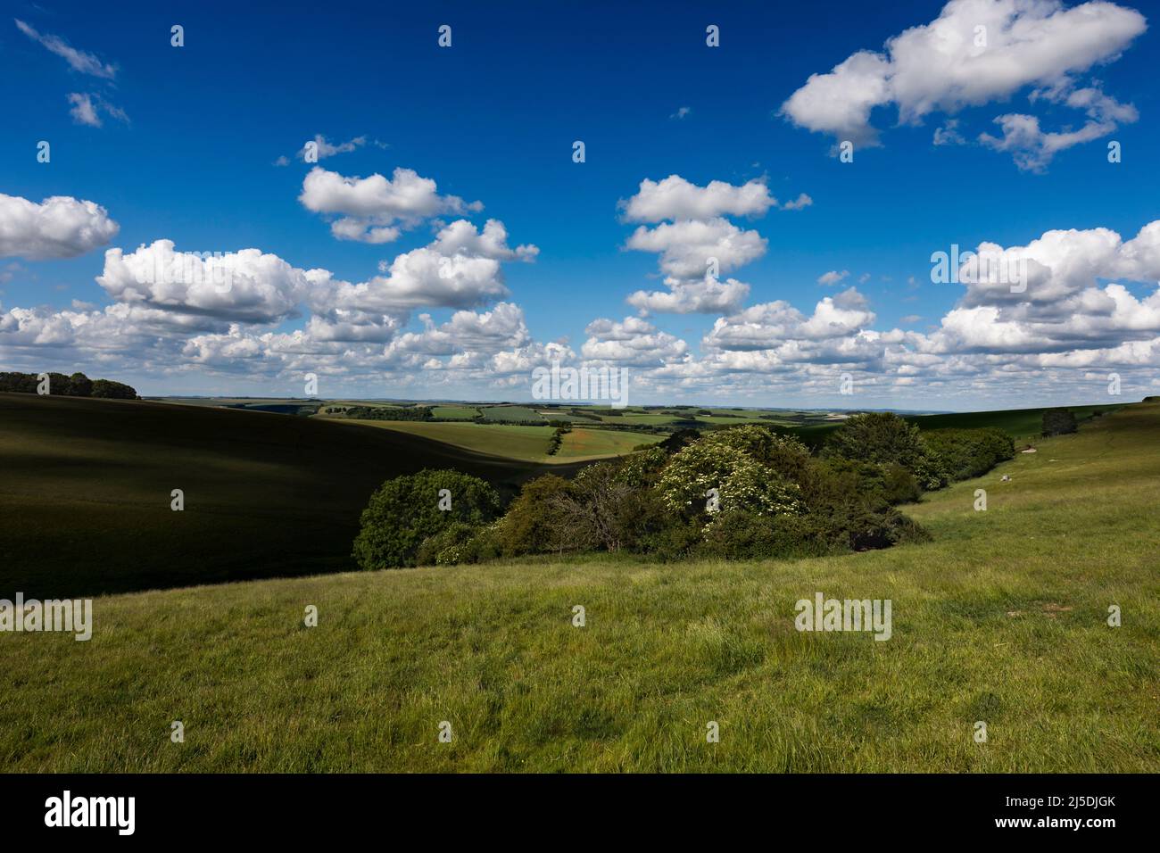 Wylye; Wiltshire; Großbritannien Stockfoto