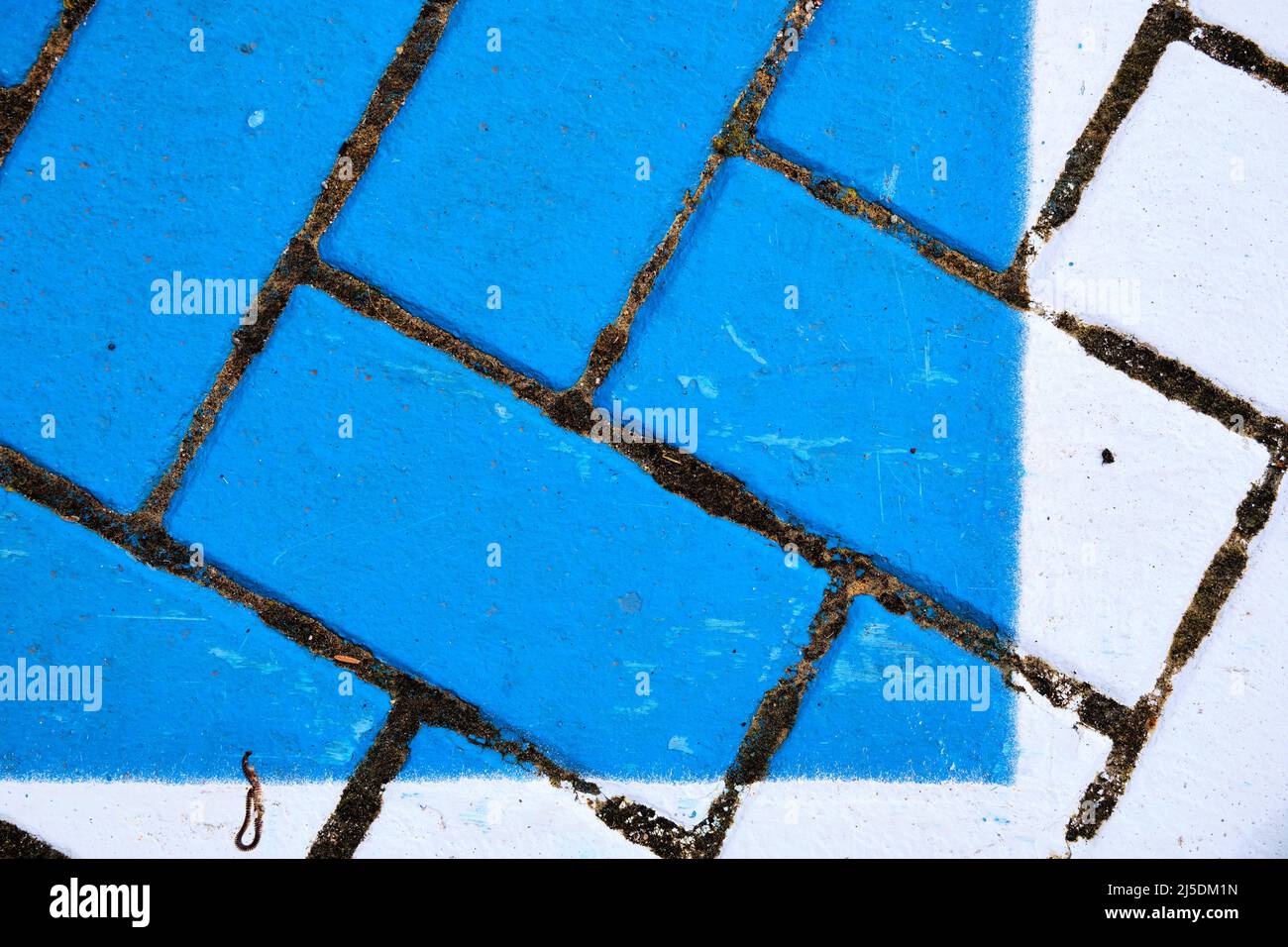 Blau und weiß lackierte Ziegelsteine bilden ein Fischgrätmuster. Ziegelsteine sind strukturiert und an Stellen getragen. Stockfoto