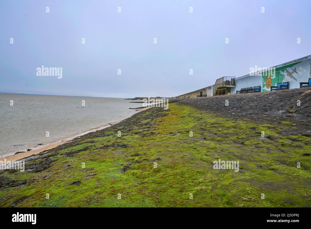 Canvey Insel, essex Stockfoto