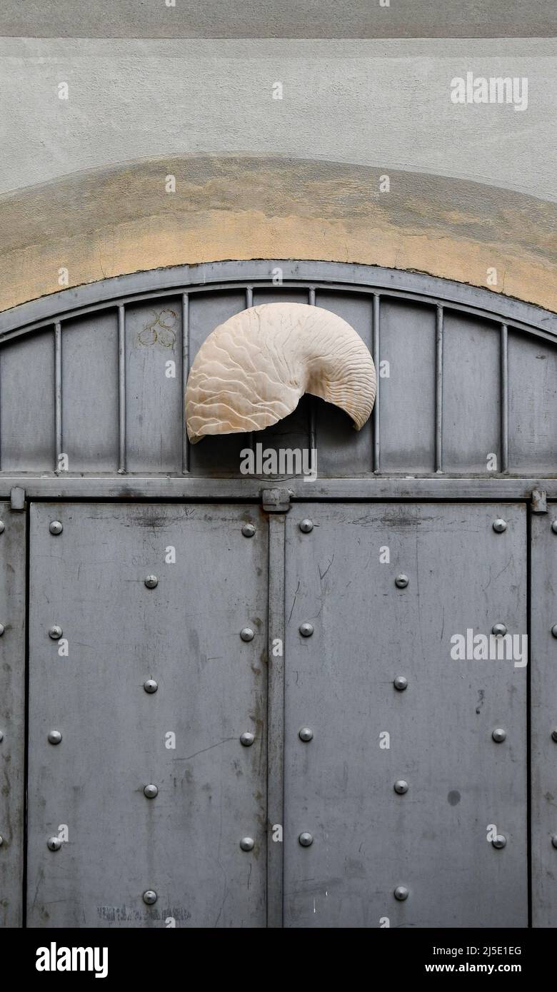 Detail des Äußeren eines alten Gebäudes mit einer metallbesetzten Tür, die mit einer Nautilus-Muschel verziert ist, Ligurien, Italien Stockfoto