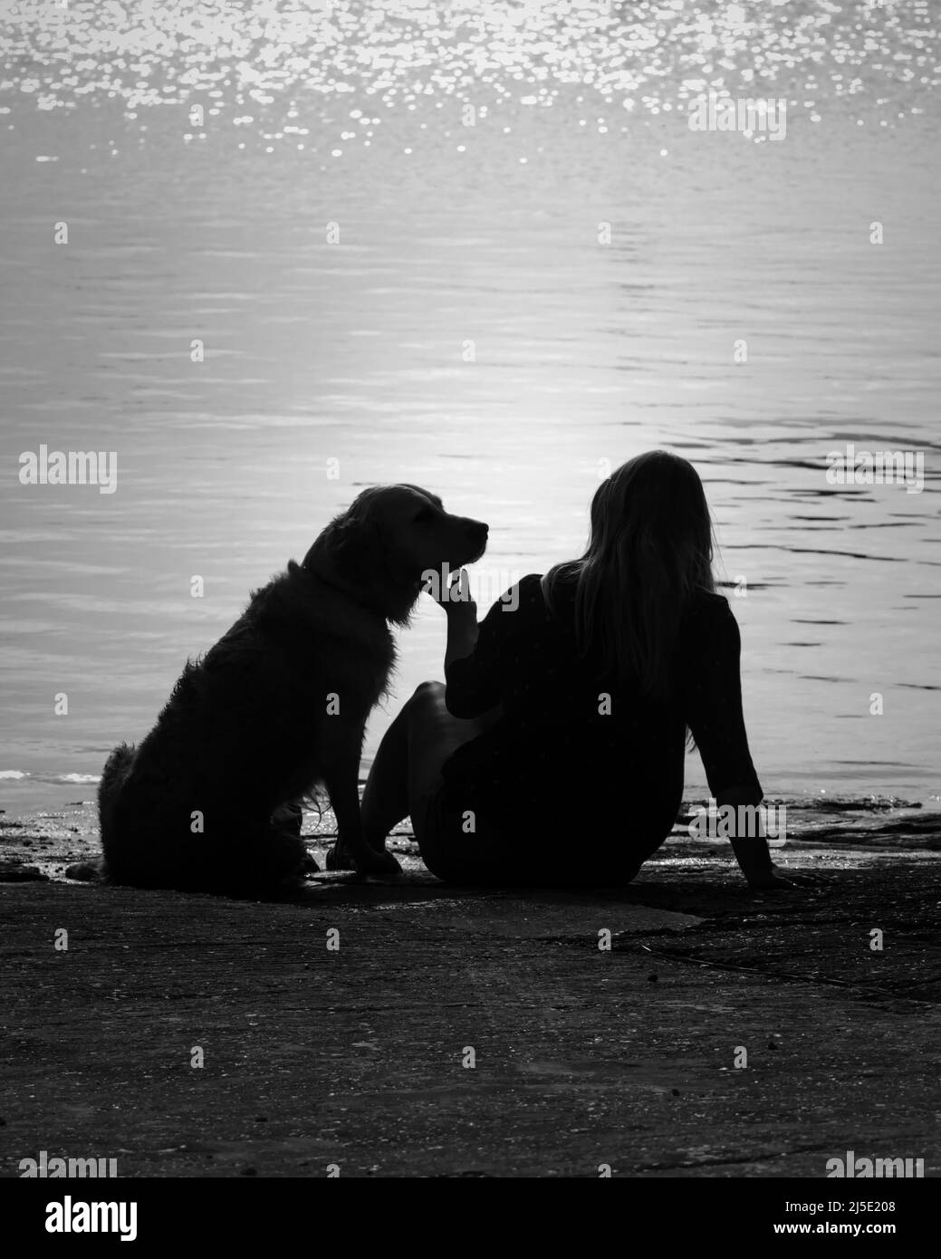 Hintergrundbeleuchtete Silhouette Eines Mädchens streichelt ihren goldenen Retreiver Hund unter dem Kinn bei Sonnenuntergang am Wasser. Zeigt Zuneigung, Liebe, Anbetung. Monchrom, Bla Stockfoto