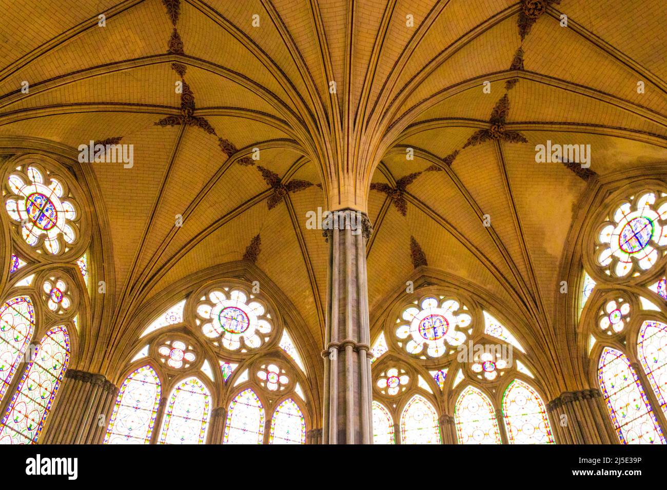 Das Innere des Kapitelhauses von Magna Carta in der anglikanischen Kathedrale von Salisbury, Wiltshire, England, Großbritannien Stockfoto