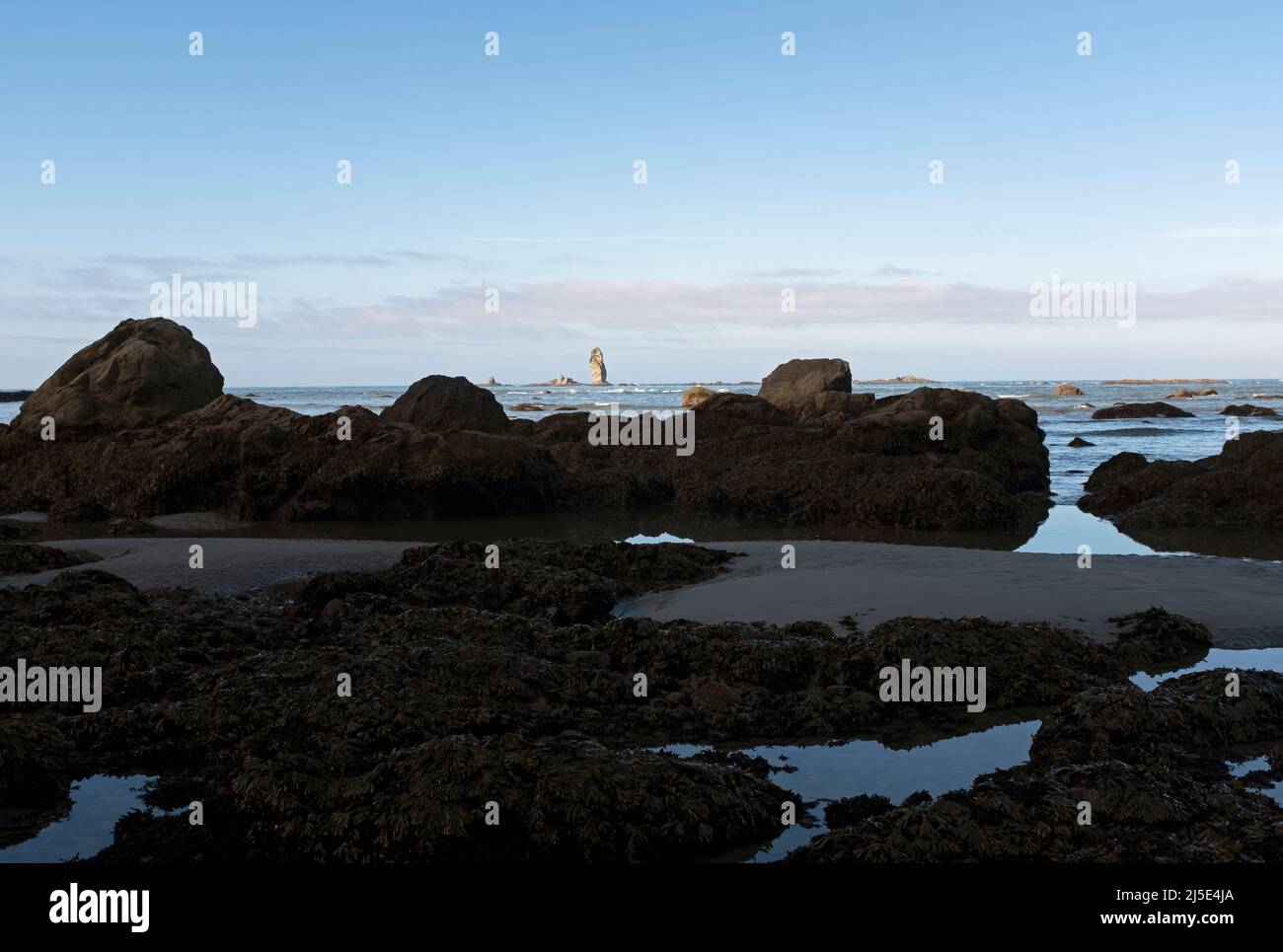 WA21432-00...WASHINGTON - Pazifikküste nördlich von Cape Johnson am Wildnisküstenabschnitt des Olympic National Park. Stockfoto