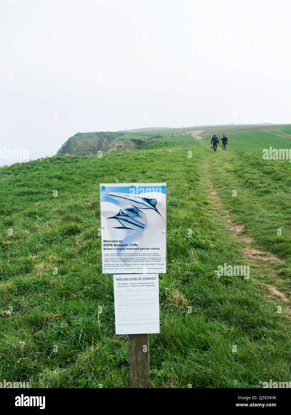Besucher, Touristen, Vogelbeobachter an den Bempton Cliffs Yorkshire, bewölktes Wetter. UK Stockfoto