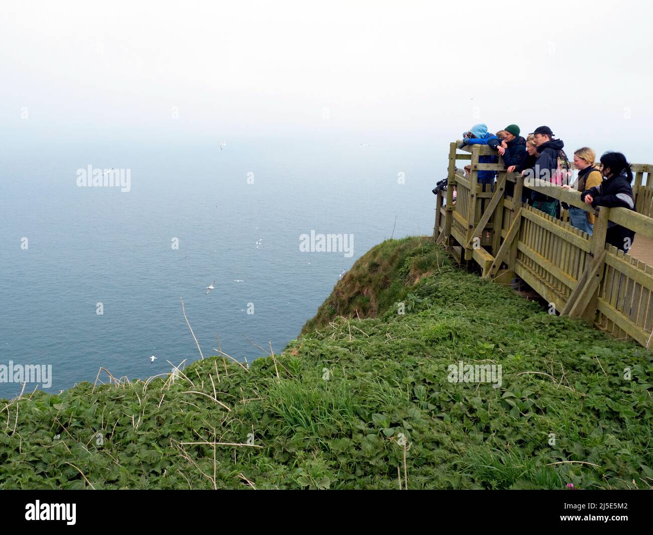Besucher, Touristen, Vogelbeobachter an den Bempton Cliffs Yorkshire, bewölktes Wetter. UK Stockfoto