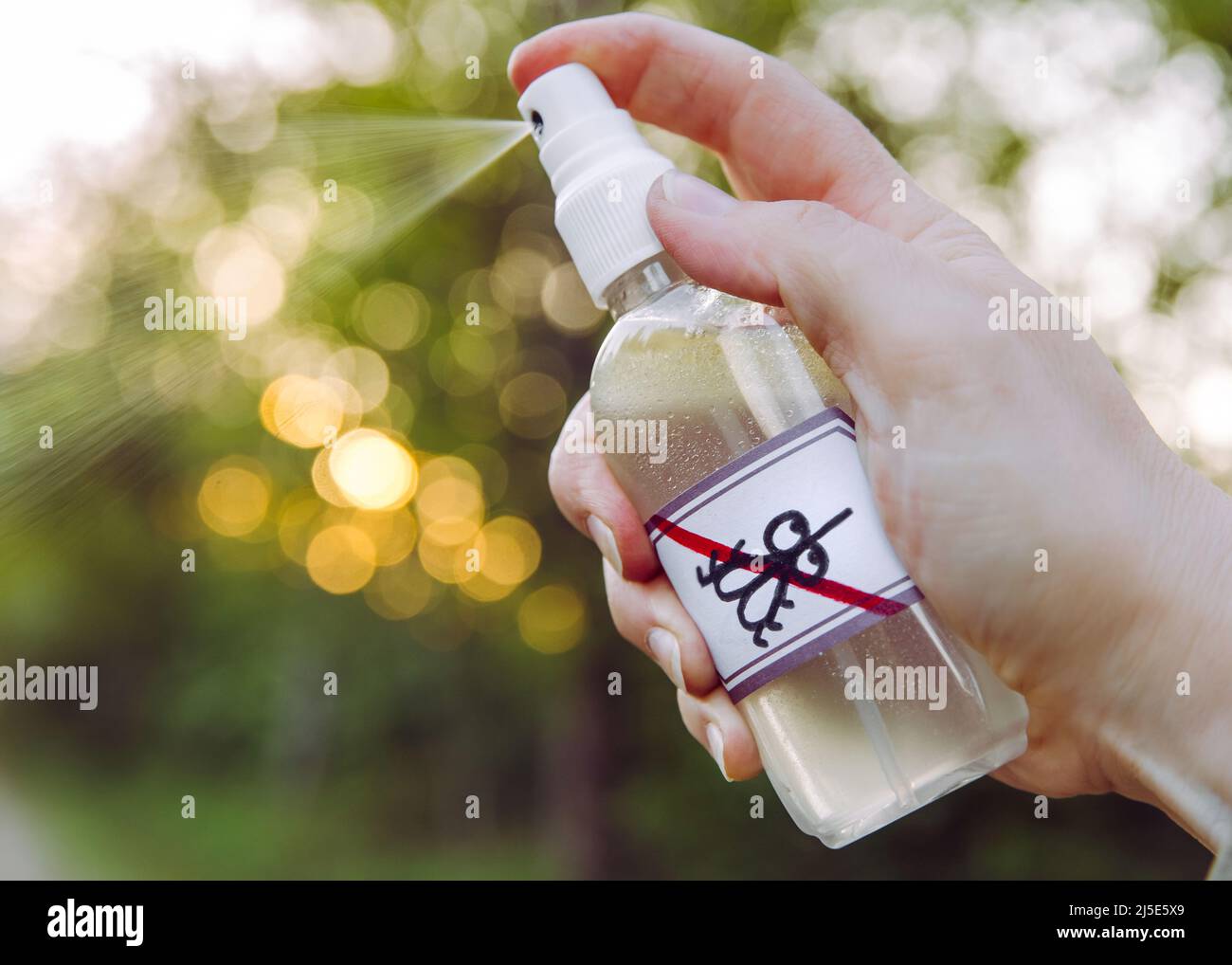 Nahaufnahme der Frau Hand hält und mit DIY hausgemachten ätherisches Öl auf Basis Moskitoabwehrmittel im Freien im Wald am Abend. Stockfoto