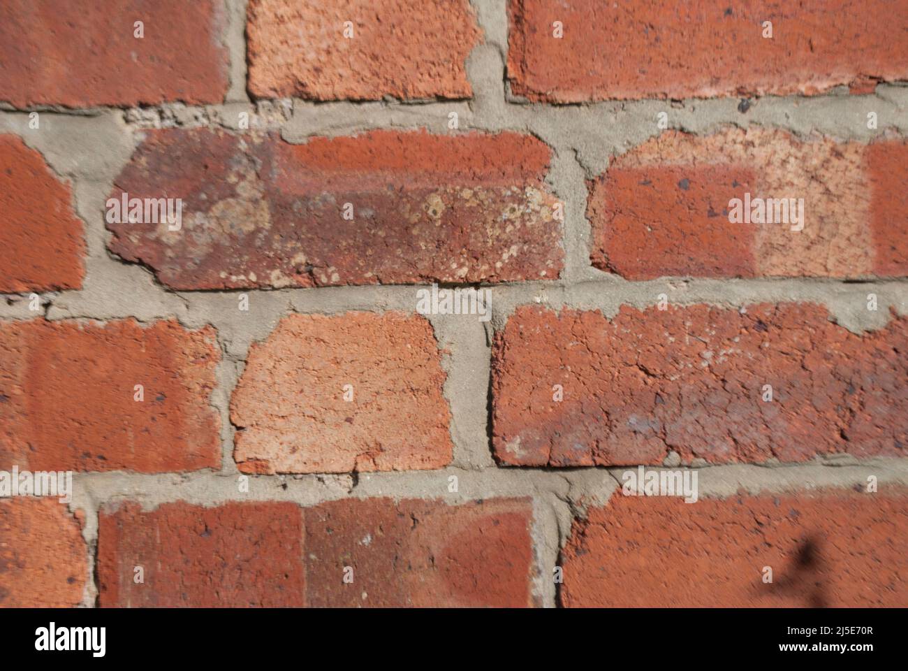 Nahaufnahme einer alten Ziegelmauer im Garten in Ruskington, Sleaford, England, Großbritannien Stockfoto