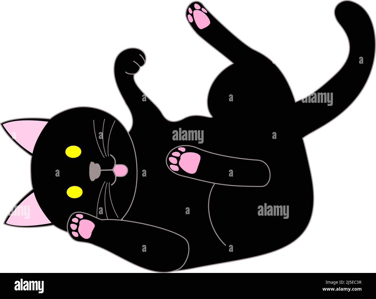 Eine spielende schwarze Katze mit weißem Hintergrund Stockfoto