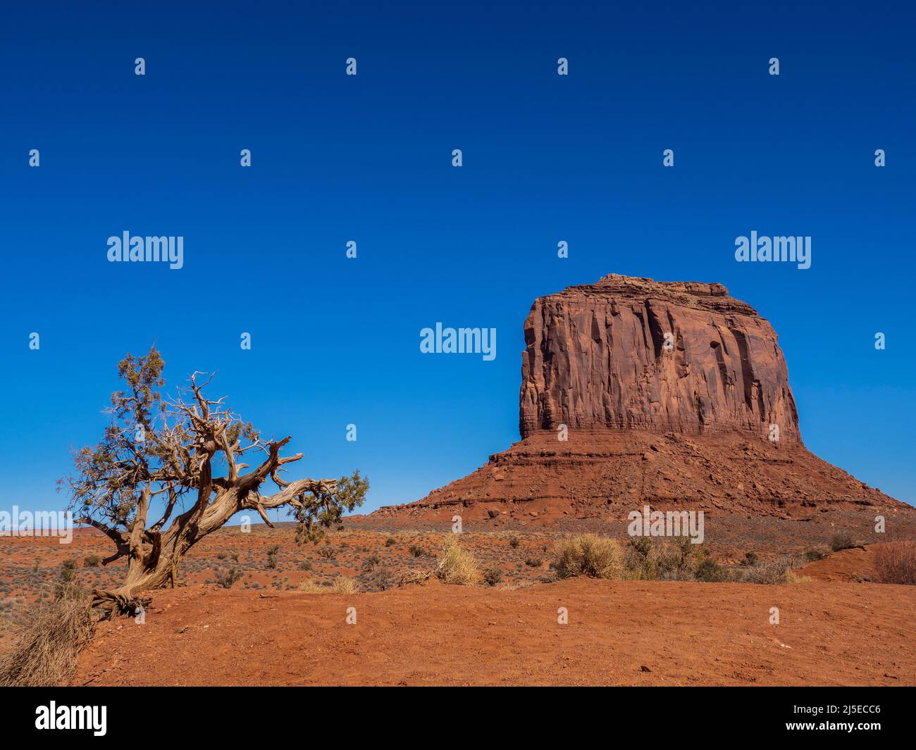 Merrick Butte, Monument Valley Tribal Park, Navajo Nation, Utah und Arizona. Stockfoto