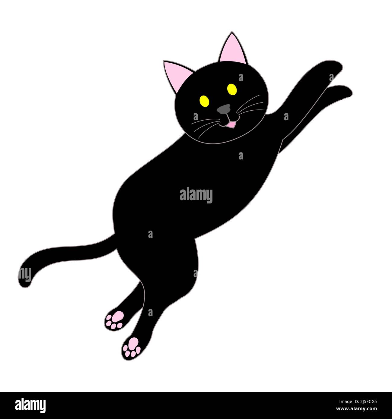 Springende schwarze Katze mit weißem Hintergrund Stockfoto