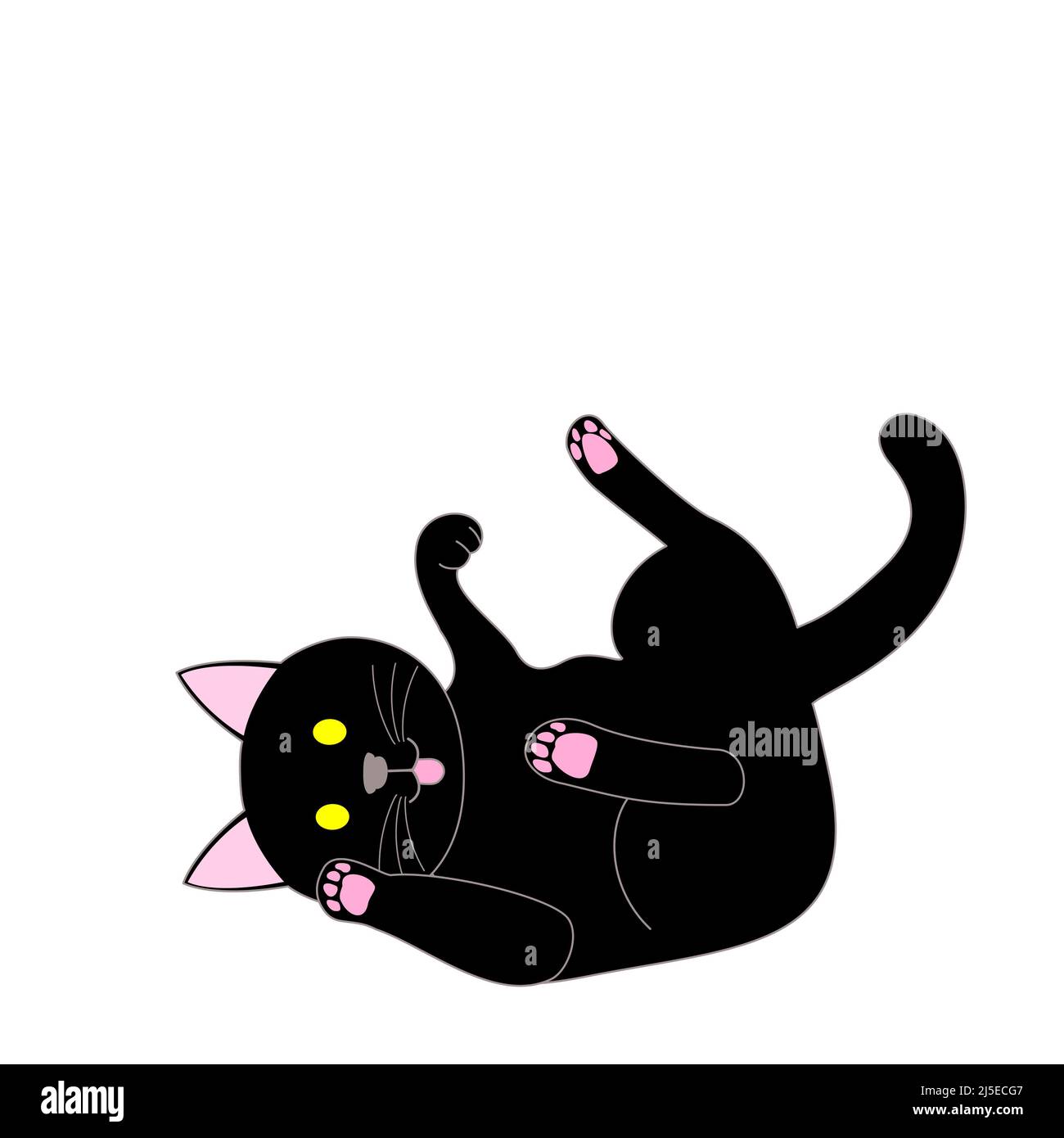 Eine spielende schwarze Katze mit weißem Hintergrund Stockfoto