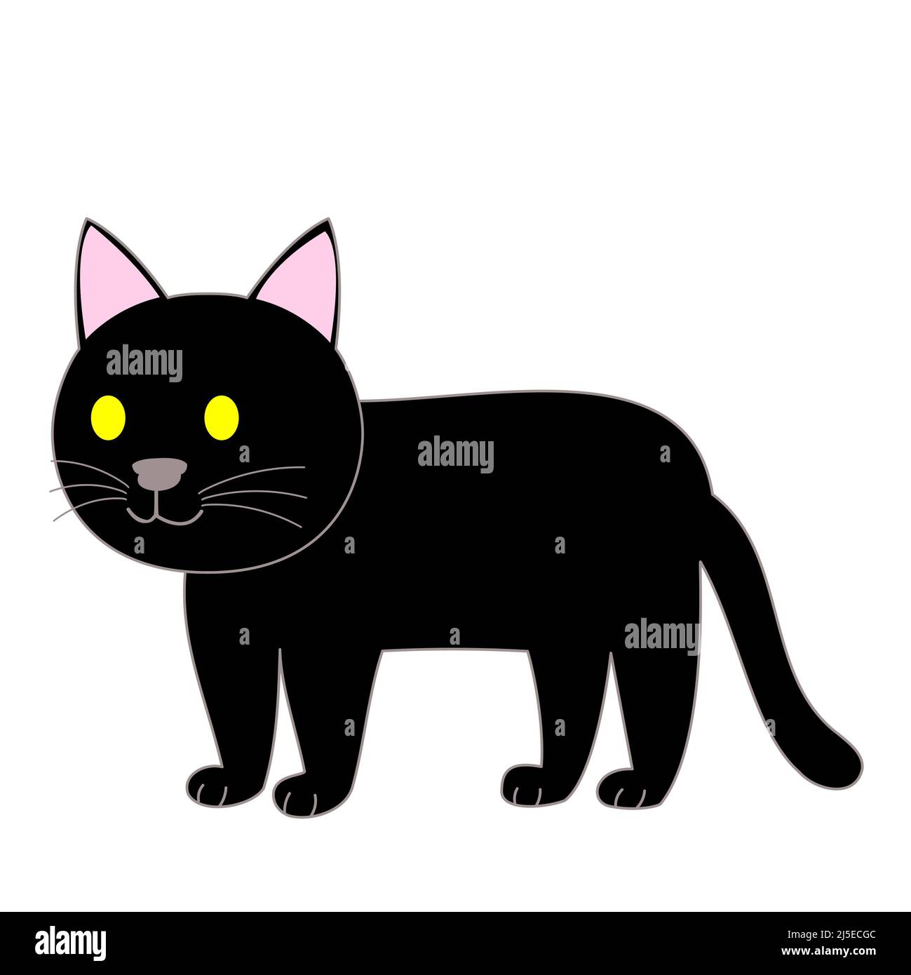 Eine stehende schwarze Katze mit weißem Hintergrund Stockfoto