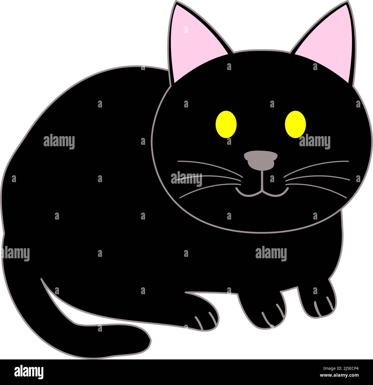 Sitzende schwarze Katze mit weißem Hintergrund Stockfoto