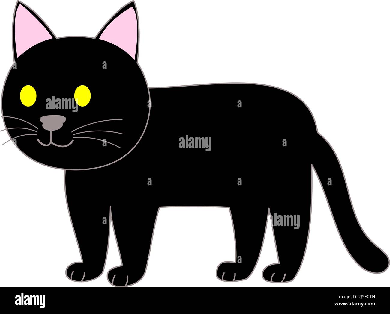 Eine stehende schwarze Katze mit weißem Hintergrund Stockfoto
