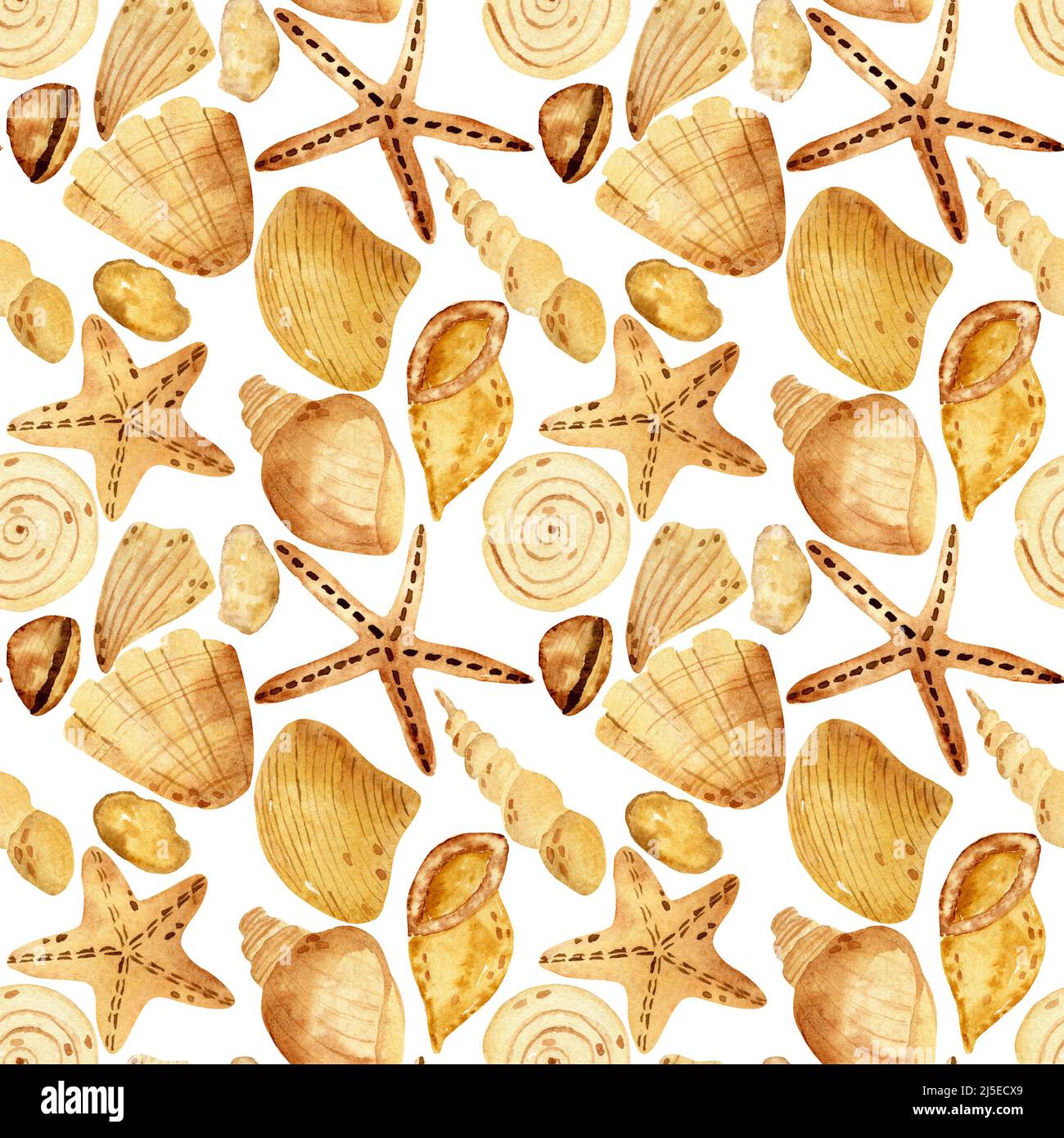 Aquarell Muscheln nahtlose Muster. Abbildung mit Muscheln, Sternen und Steinen für alle Designs Stockfoto