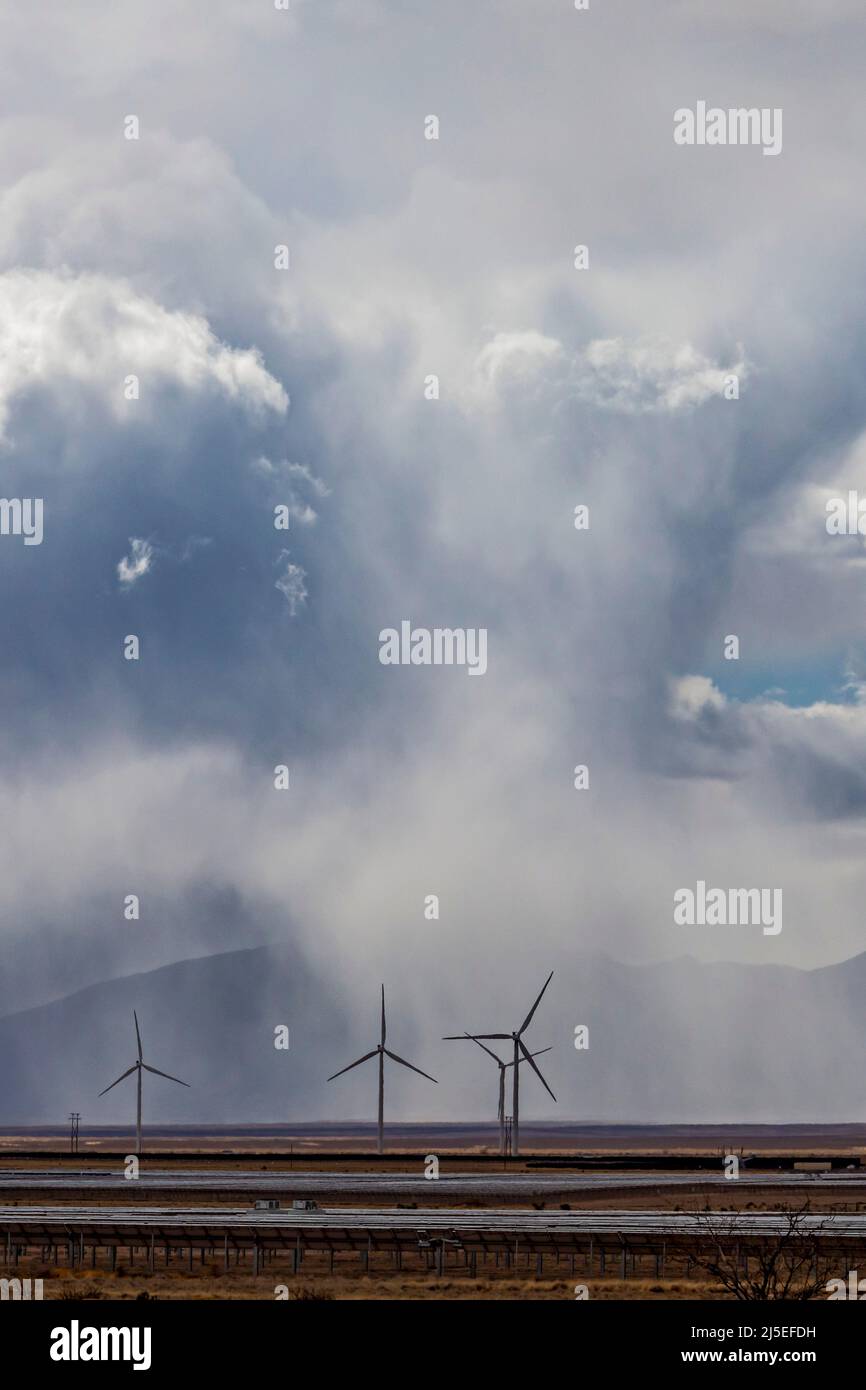 Nutt, New Mexico - Ein Regensturm auf dem Windpark Macho Springs. Stockfoto