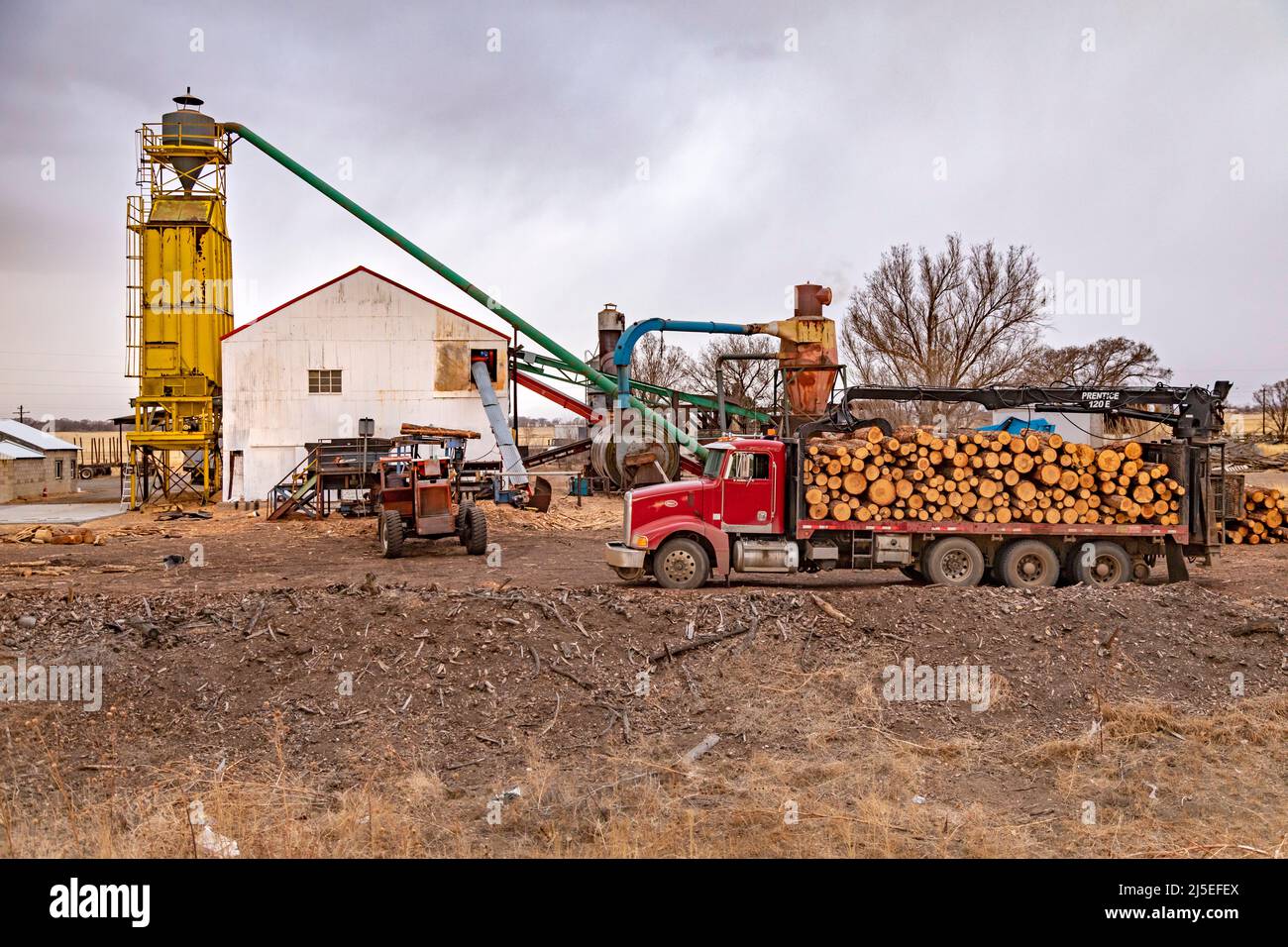 Maxwell, New Mexico - Silver Dollar Wood Products. Das Unternehmen stellt Holzschäfte für Tierbezüge und Holzfatteln zur Erosionskontrolle her. Stockfoto