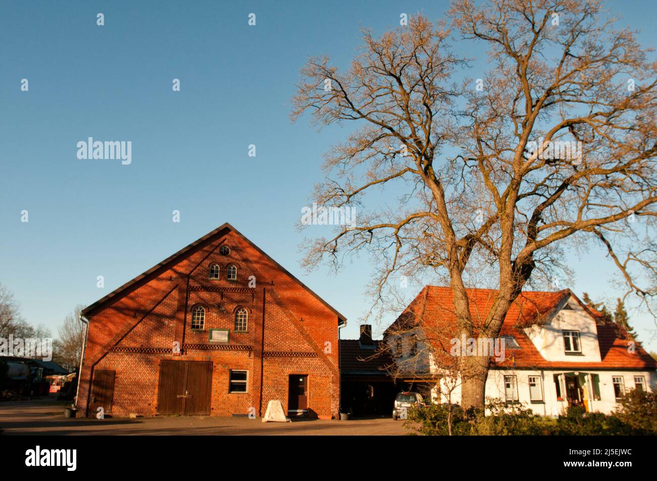 Ein Dorf in Niedersachsen, ein Land voller großer Bäume Stockfoto