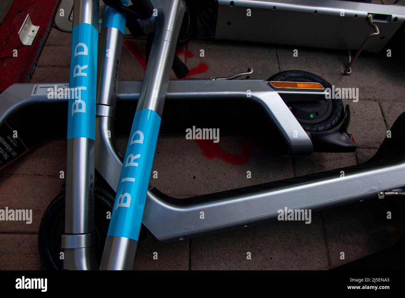 Elektroroller auf der Straße. Bird plant, in diesem Monat 250 E-Scooter auf den Markt zu bringen, deren Flotte von 1.000 bis Ende Juni voll ist. Stockfoto