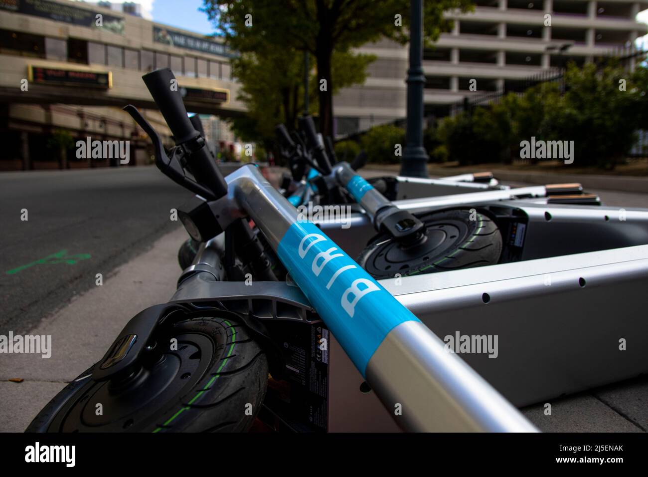 Vogel-Elektro-Scooter umgeklopft. Bird plant, in diesem Monat 250 E-Scooter auf den Markt zu bringen, deren Flotte von 1.000 bis Ende Juni voll ist. Stockfoto