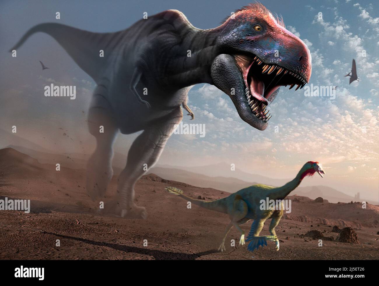 T Rex Jagd Ornithomimus Stockfoto