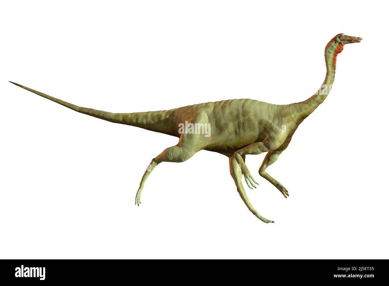 Kunstwerk des Dinosauriers Gallimimus Stockfoto
